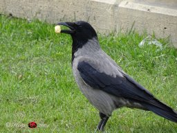  Schönbrunn am 22. 03. 2024
